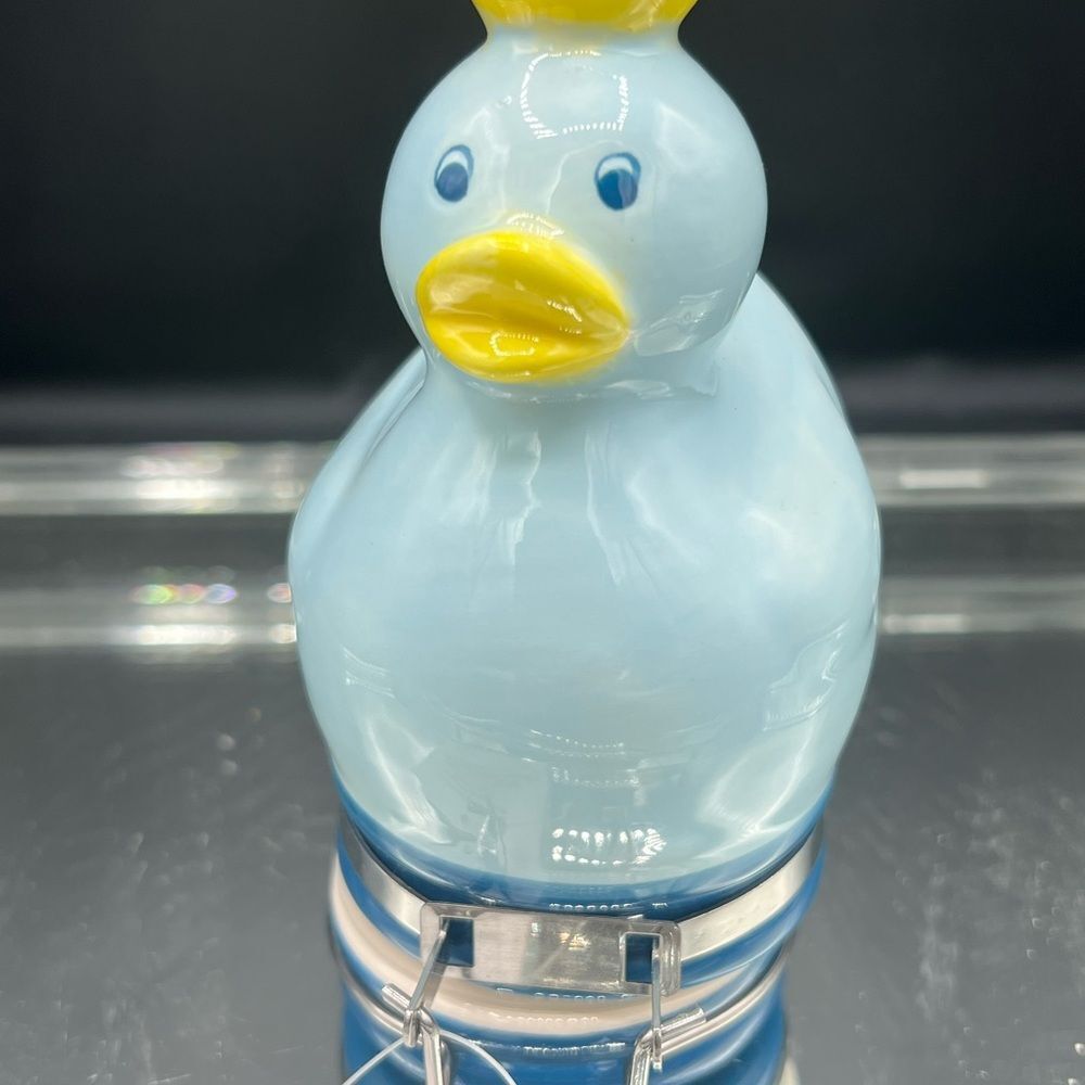 New Contained Art Trinket Box Blue Duck Ceramic Container